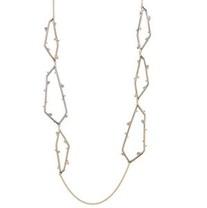 Alexis Bittar

Crystal Link Station Necklace